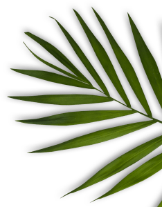 Right Decoration
